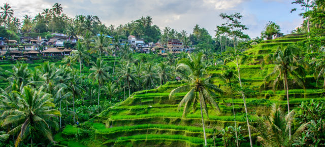 Bali-Traumreise: 22 Tage im 4* Resort inkl. Frühstück & Flug für 679 €