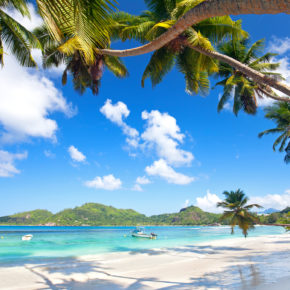 Urlaub im Paradies: 10 Tage Seychellen mit gutem Guesthouse & Flug für 732€