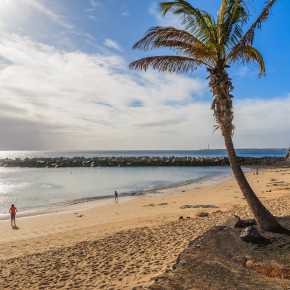 Lanzarote Playa Blanca Flamingo Beach