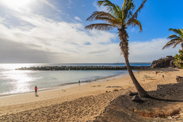 Lanzarote Playa Blanca Flamingo Beach