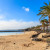 Lanzarote Playa Blanca Palme