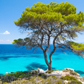 Chalkidiki Blaues Meer