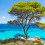 Griechenland: 7 Tage Chalkidiki im TOP 3* Hotel mit Halbpension & Flug nur 358€