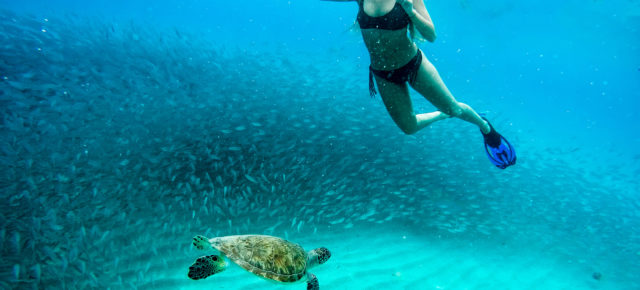 Karibik-Traum: 9 Tage Curaçao im 4* Hotel inklusive Halbpension, Flug & Transfer ab 1967€