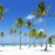 Palmen und klares Wasser am Strand von Jamaika