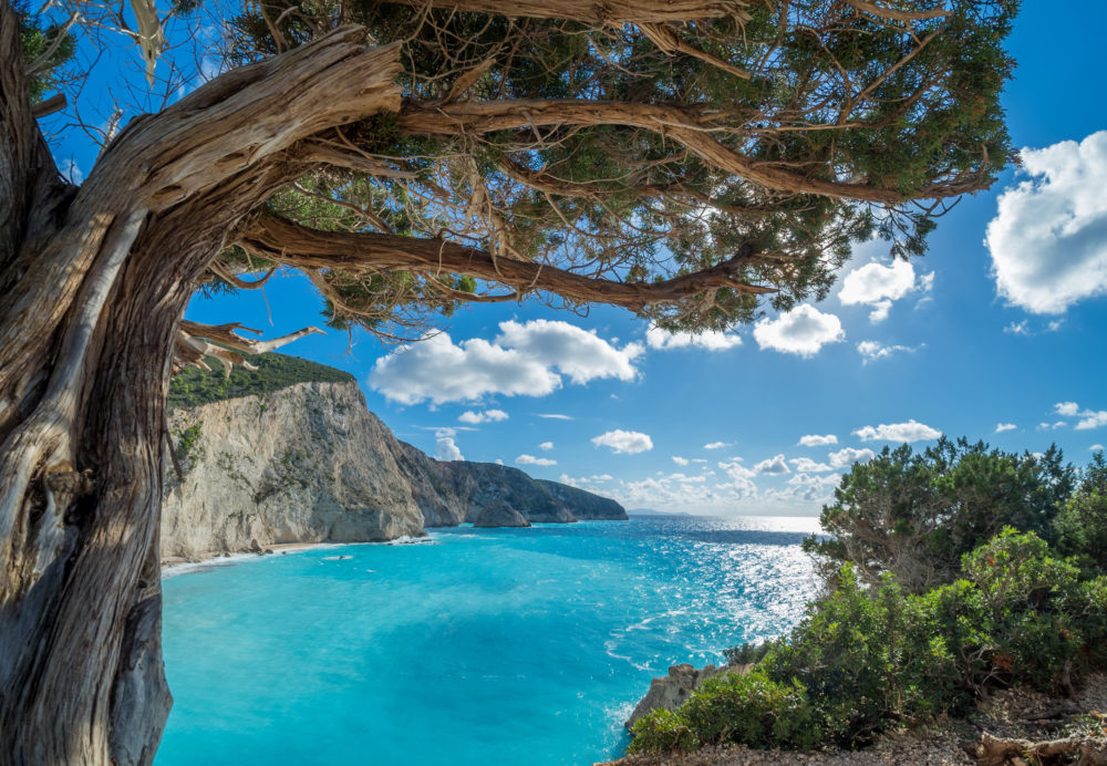 Lefkada Baum