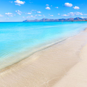 Urlaub auf Mallorca: 7 Tage in Paguera im 3* Boutique Hotel mit Halbpension, Flug, Transfer & Zug nur 491€