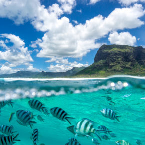 Mauritius: 9 Tage ins TOP 5* Hotel mit Flug, Privattransfer, Halbpension, Butlerservice & Extras für 2874€