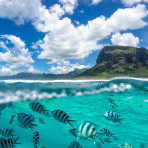 Traumhaftes Mauritius: 10 Tage mit guter Unterkunft in Strandnähe & Direktflug um 696€