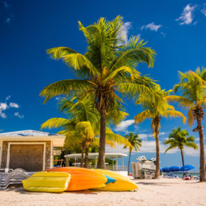 I'm in Miami, Beach: 8 Tage in guter Unterkunft mit Halbpension & Flug schlappe 434€