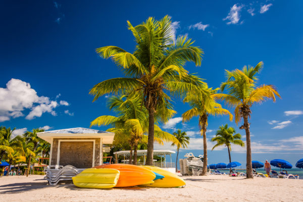 Miami Strand mit Palmen