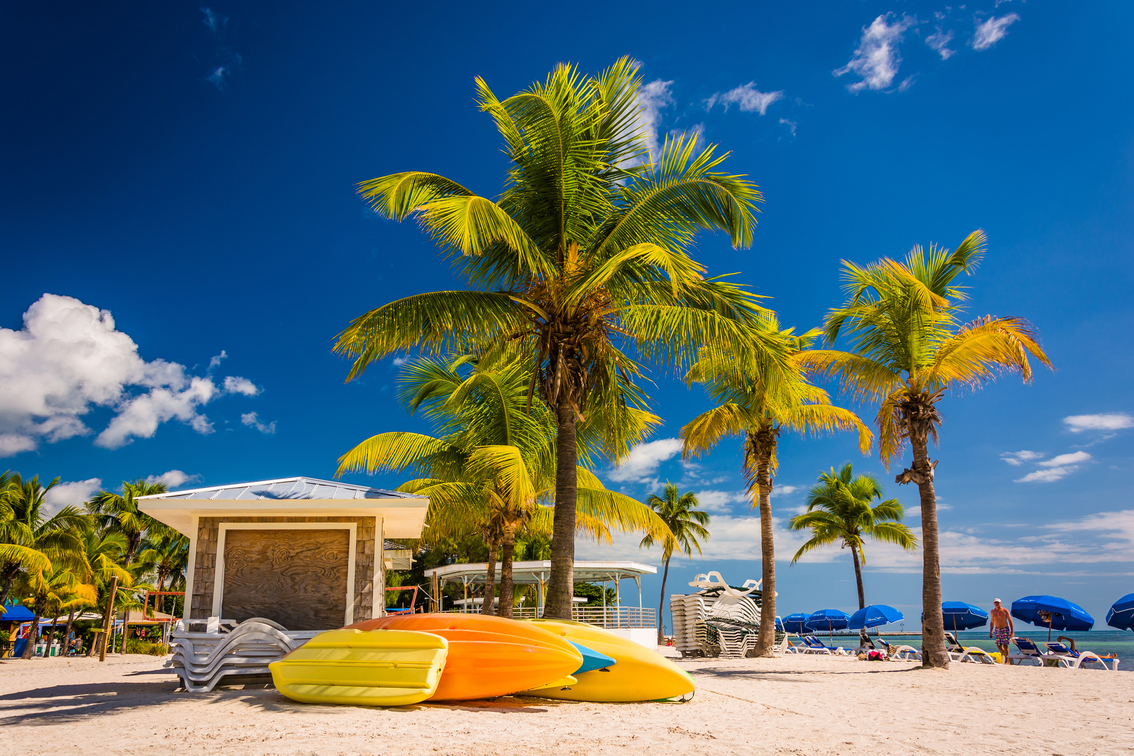 Miami Beach is calling: 8 Tage inkl. gutem 3* Hotel & Flug um 798 ...