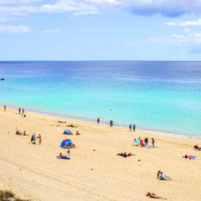 Frühbucher Kanaren: 8 Tage Fuerteventura mit Flug & Apartment nur 150€