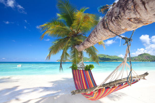 Seychellen Hammock