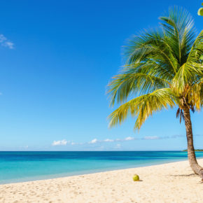 Urlaub im Paradies: [ut f="duration"] Tage Jamaika im TOP [ut f="stars"]* RIU Hotel mit [ut f="board"], Flug & Transfer ab [ut f="price"]€