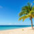 Toller Strand mit Palmen und Kokusnüssen auf Jamaika