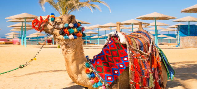 Ägypten Kracher: 8 Tage im 4* Hotel mit Aquapark, All Inclusive, Flug & Transfer nur 423€