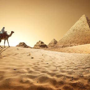 Ägypten All Inclusive: 8 Tage All Inclusive im 4*AWARD Hotel Albatros Beach mit Flug & Transfer nur 352€ Ägypten All Inclusive: 8 Tage All Inclusive im 4*AWARD Hotel Albatros Beach mit Flug & Transfer nur 352€
