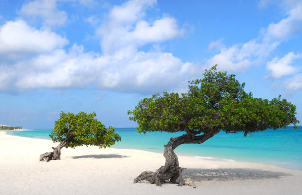 Aruba Eagle Beach