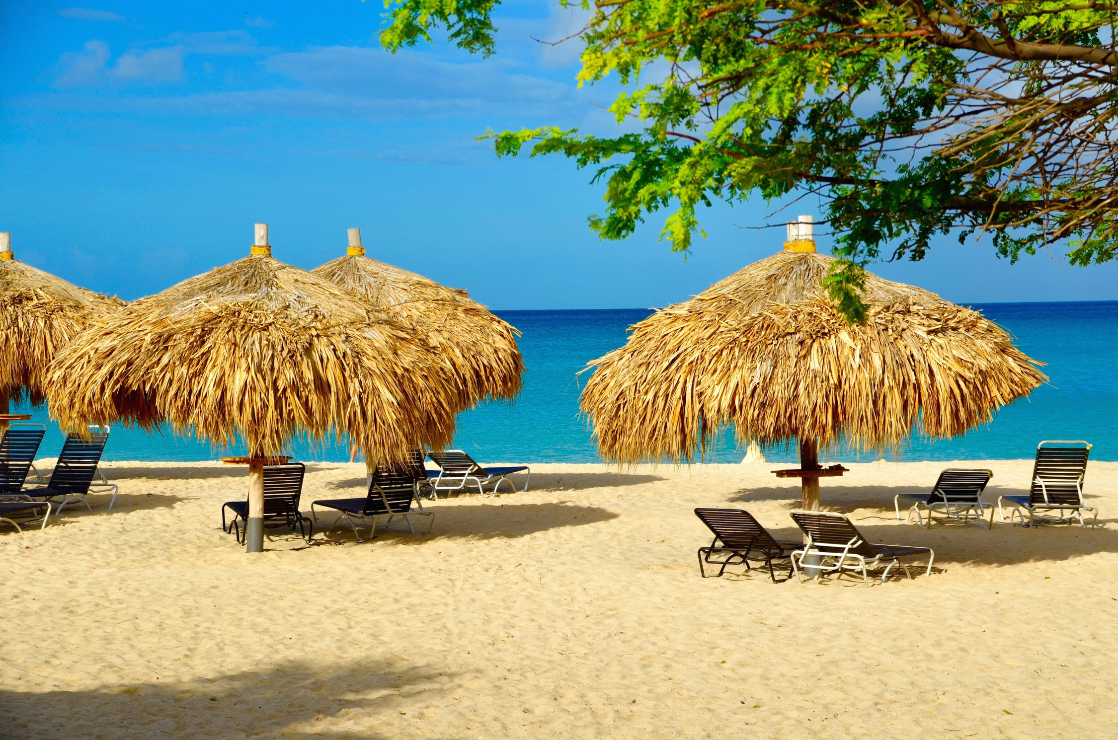 Backpage Aruba