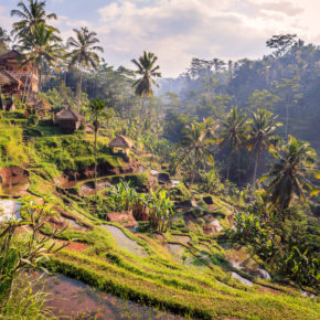 Frühbucher Bali: 16 Tage Ubud mit toller Unterkunft & Flug nur 468€