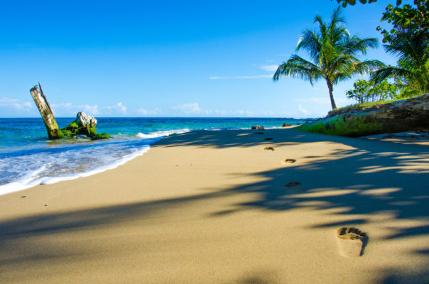 Costa Rica Reisezeit Meer Strand