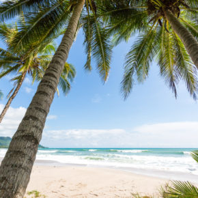 15 Tage in die Sonne: Hin- & Rückflüge nach Costa Rica nur 475€ 15 Tage in die Sonne: Hin- & Rückflüge nach Costa Rica nur 475€