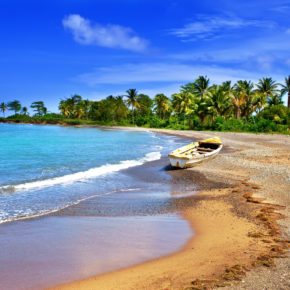Jamaika Strand Palmen
