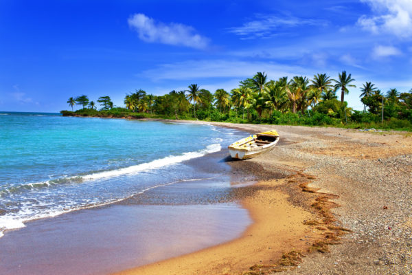 Jamaika Strand Palmen