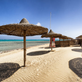 Frühbucher Marsa Alam: 7 Tage im TOP 5* All Inclusive Albatros Hotel mit Flug & Transfer nur 438€ Frühbucher Marsa Alam: 7 Tage im TOP 5* All Inclusive Albatros Hotel mit Flug & Transfer nur 438€