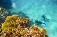 Neueröffnung in Ägypten: 8 Tage im 5* Albatros Makadi Resort mit All Inclusive & Flug ab...