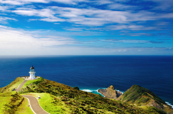 Neuseeland Cape Reinga