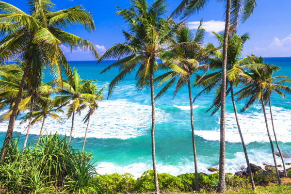 Sri Lanka wilder Strand