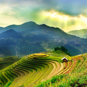 14 Tage in Vietnam: Hin- & Rückflüge nach Ho Chi Minh Stadt mit Gepäck nur 434€ 14 Tage in Vietnam: Hin- & Rückflüge nach Ho Chi Minh Stadt mit Gepäck nur 434€