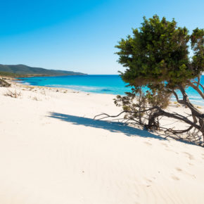 Frühbucher: 8 Tage Sardinien im eigenen Apartment mit Flug für 74€