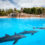 Schon bald auf die Kanaren: 8 Tage Teneriffa mit 3* Hotel & Flug NUR 227€