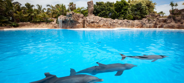 Schon bald auf die Kanaren: 7 Tage Teneriffa mit 3* Hotel, Junior Suite, Flug & Transfer NUR 441€