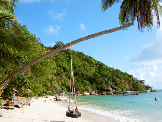 Koh Phangan Swing
