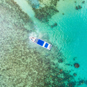 Thailand: Hin- & Rückflüge ohne Zwischenstopp nach Bangkok mit Thai Airways nur 419€ Thailand: Hin- & Rückflüge ohne Zwischenstopp nach Bangkok mit Thai Airways nur 419€