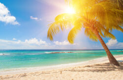 15 Tage Karibische Inseln mit der Mein Schiff 4 & All Inclusive