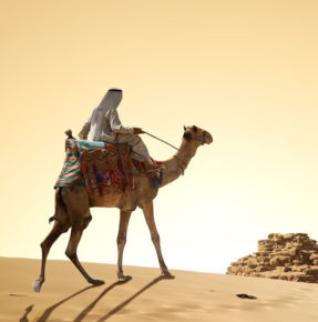 Ägypten: 7 Tage im 4.5* All Inclusive Resort mit Flug & Transfer für 291€ Ägypten: 7 Tage im 4.5* All Inclusive Resort mit Flug & Transfer für 291€