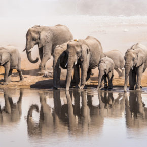 Afrika: 14-tägige Namibia Rundreise mit verschiedenen Unterkünften inklusive Frühstück/Halbpension & Transfers ab 2699€