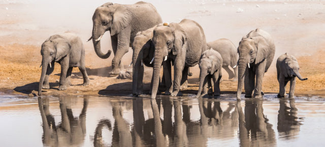Afrika: 14-tägige Namibia Rundreise mit verschiedenen Unterkünften inklusive Frühstück/Halbpension & Transfers ab 2699€