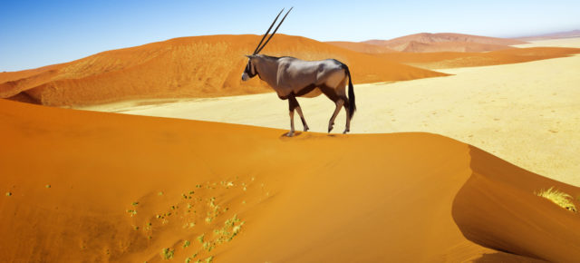 Namibia: Direkte Hin- und Rückflüge mit Eurowings nach Windhoek für 360€