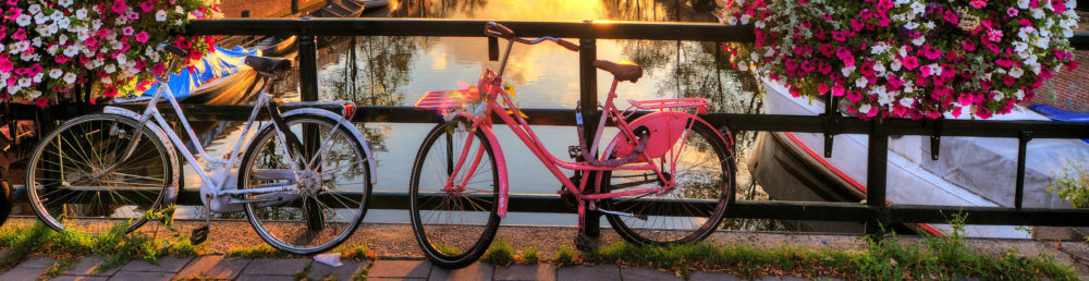 Amsterdam rosa Fahrrad Panorama