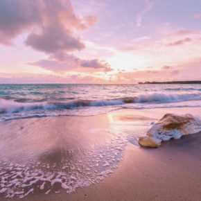 Australien Darwin Strand Stein Meer Sonnenuntergang