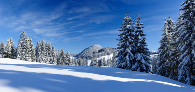 Deutschland Allgäu Schnee Skifahren