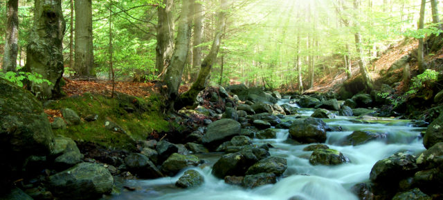 Wellness in Bayern: 3 Tage im schönen 4* Spa-Hotel inkl. Frühstück für nur 79€