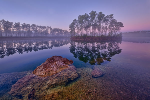 USA Everglades Spiegelung