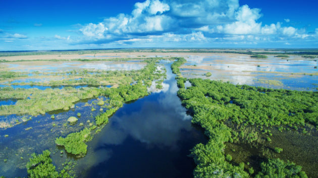 USA Everglades von oben